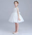 Ivory Round Neck Lace Tulle Flower Girl Dresses, Zip up Cute Little Girl Dresses, FG043
