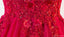 Ver a Través de Rubor Cordón Rosado Unos Vestidos de la Fiesta de promoción de la Tarde de la línea, Vestidos de la Fiesta de promoción del Partido de 2018 Largos, 17282