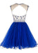 Sexy espalda Abierta Royal Azul Corto de Tul de regreso a casa vestidos de fiesta, vestidos CM0008
