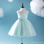 Tiffany mona vestidos de la florista del satén del tul de espagueti azules, vestidos de la niña populares baratos, FG050